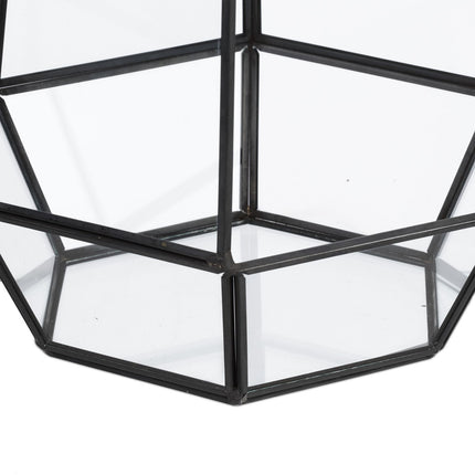 Geometric Glass Terrarium for Succulents, 25 cm