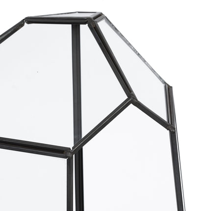 Geometric Glass Terrarium for Succulents, 25 cm