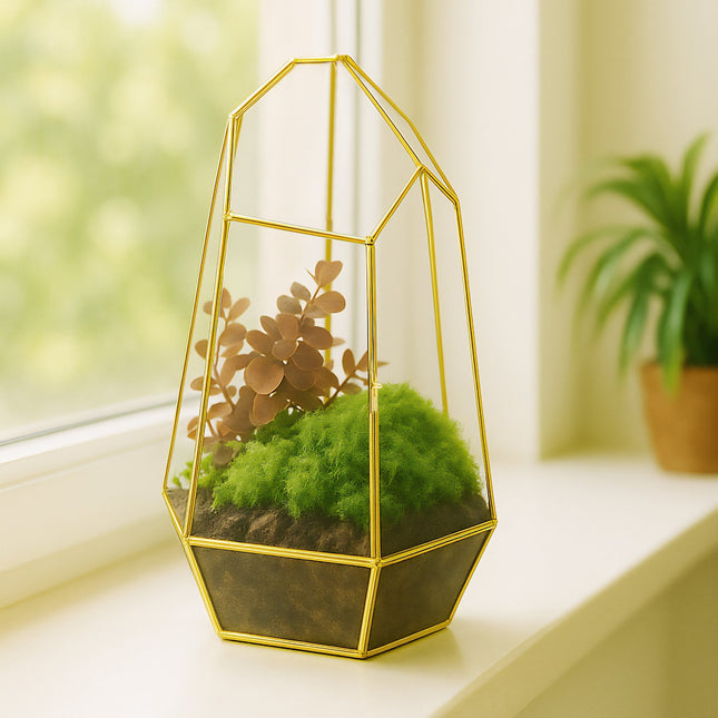 Geometric Glass Terrarium for Succulents & Air Plants