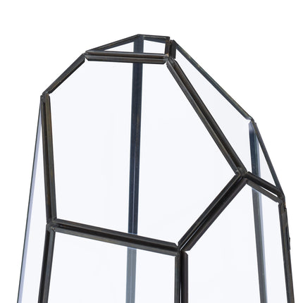 Geometric Glass Terrarium for Succulents & Air Plants