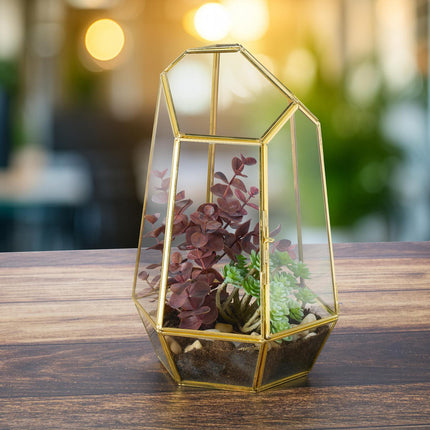 Geometric Glass Terrarium for Succulents & Air Plants