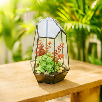 Geometric Glass Terrarium for Succulents & Air Plants