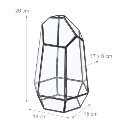 Geometric Glass Terrarium for Succulents & Air Plants