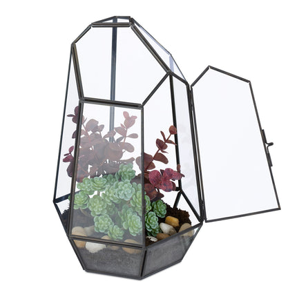 Geometric Glass Terrarium for Succulents & Air Plants