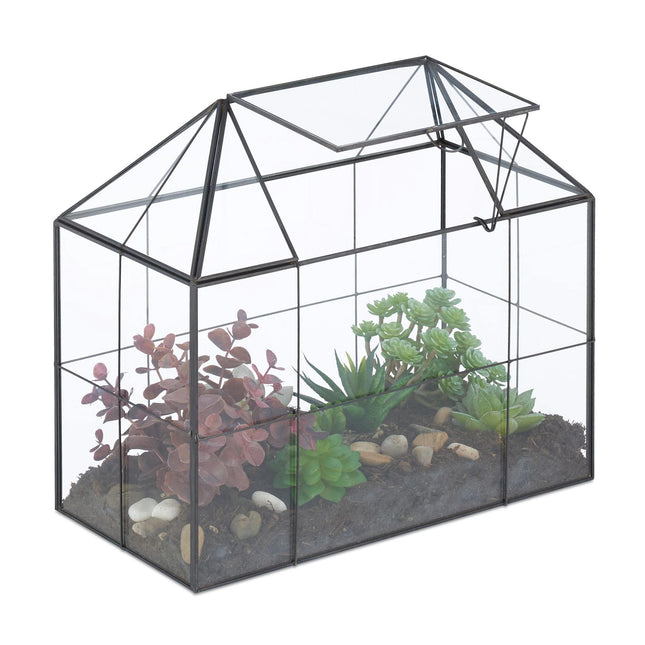 Glashaus-Terrarium für Zimmerpflanzen
