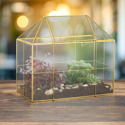 Glashaus-Terrarium für Zimmerpflanzen