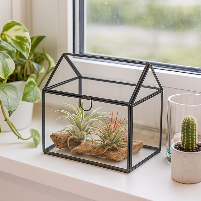 Glass Plant Terrarium, House Shape, Compact Size