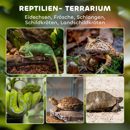 Glas-Terrarium für Reptilien, wasserdichte Basis, Schloss