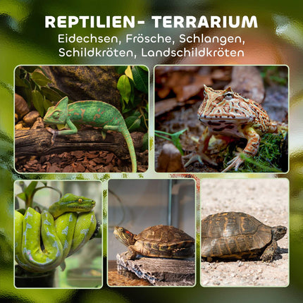 Glas Terrarium für Reptilien, wasserdichte Basis, sicheres Schloss