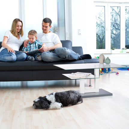 Table basse en verre