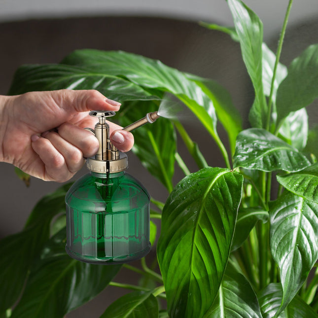 Glassprühflasche, 3er-Set