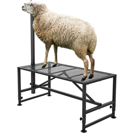 Goat And Sheep Stand, 47x23 In, 21–33 In Adjustable, 500 lb