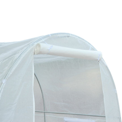 Greenhouse film for plants, 245x200x200 cm