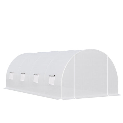 Large 600x300x200cm Weatherproof Film Greenhouse