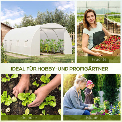 Large 600x300x200cm Weatherproof Film Greenhouse