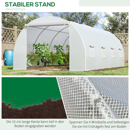 Large 600x300x200cm Weatherproof Film Greenhouse