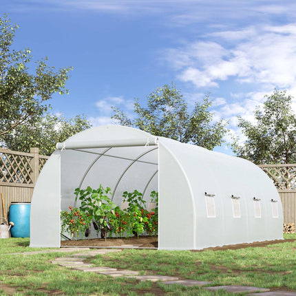Large 600x300x200cm Weatherproof Film Greenhouse