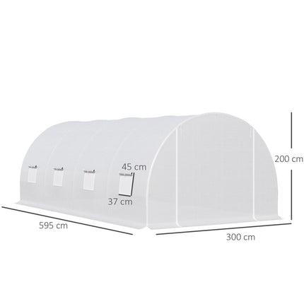 Large 600x300x200cm Weatherproof Film Greenhouse