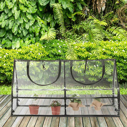 Greenhouse PVC with 2 windows