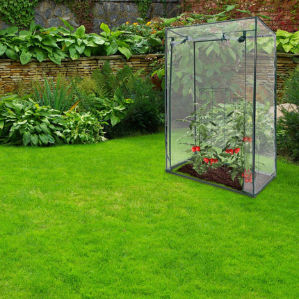Greenhouse for tomatoes with sloping roof