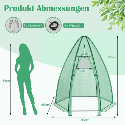 Gewächshaus Gartengewächshaus mit Allwetter-PE-Abdeckung 160 x 160 x 183 cm grün