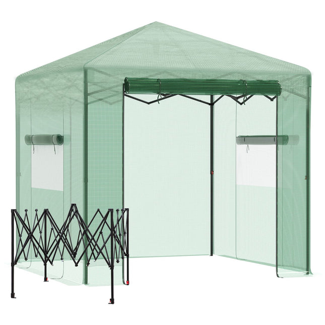 Gewächshaus für Pflanzen, Rolltür & Fenster, 238x178x240cm