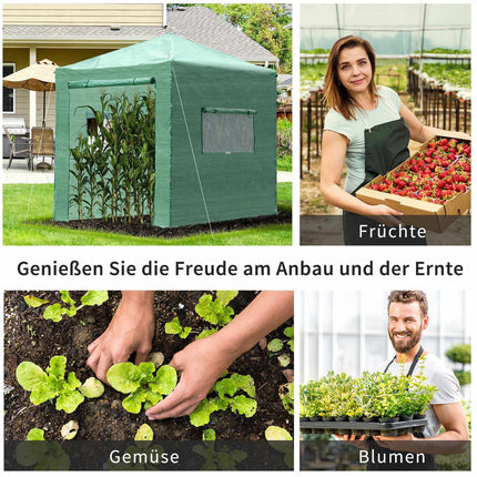 Greenhouse for plants, Roll-Up Door & Window, 238x178x240cm