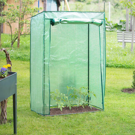 Culture de tomates sous serre