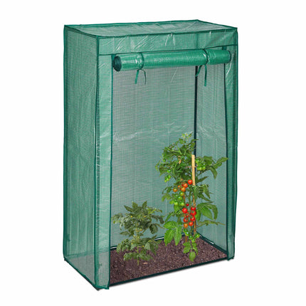 Culture de tomates sous serre