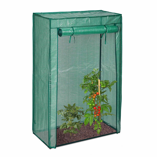 Tomatenanbau im Gewächshaus