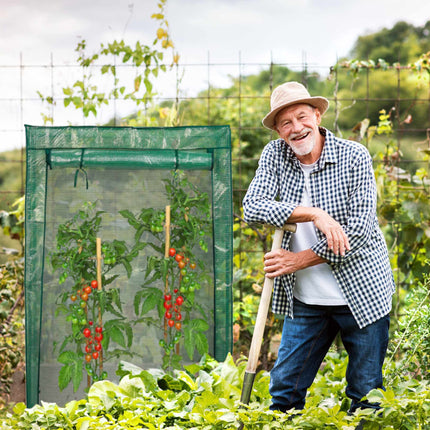 Culture de tomates sous serre