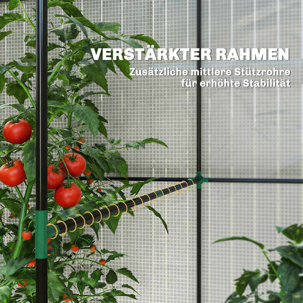 Greenhouse with Roll-Up Door, 200x200x140 cm, White/Green
