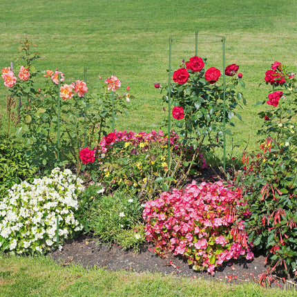 Tuteurs pour plantes vertes 60 cm, lot de 4