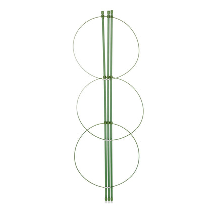 Tuteurs pour plantes vertes 60 cm, lot de 4