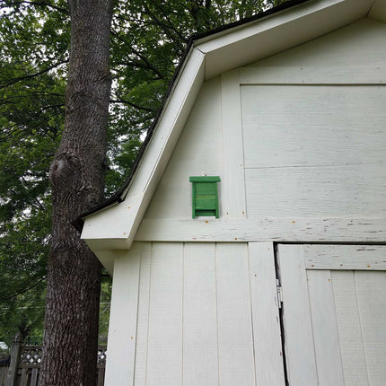 Nichoir à chauves-souris en bois vert