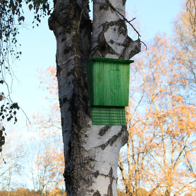 Green wooden bat box