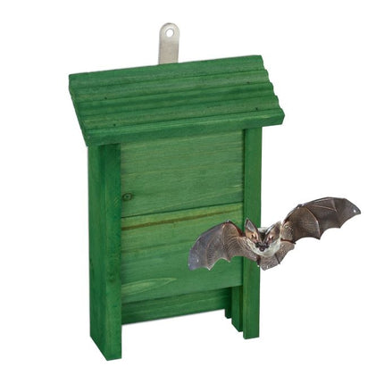 Nichoir à chauves-souris en bois vert