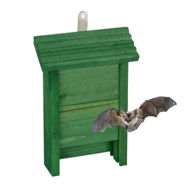 Green wooden bat box