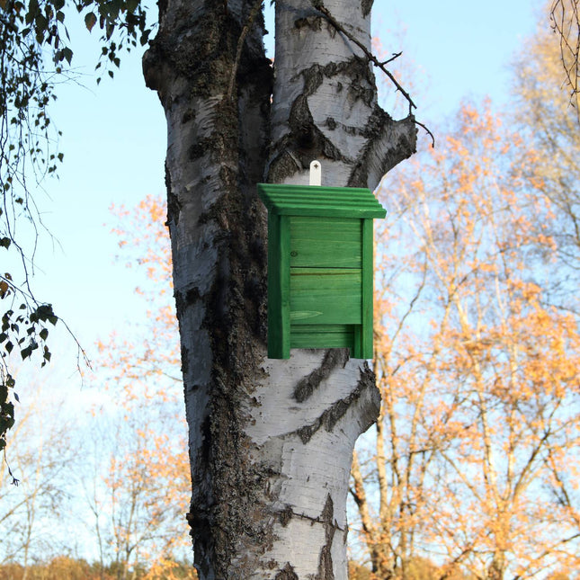 Green wooden bat box