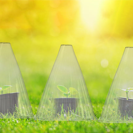 Grey Plant Protection Cones, Set of 32