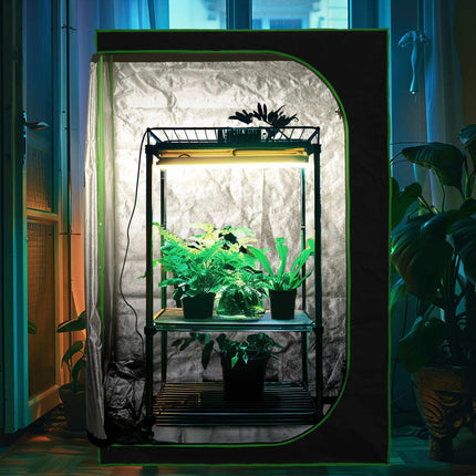 Growbox im Innenbereich