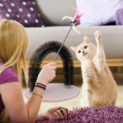 Hair removal sheets for cats