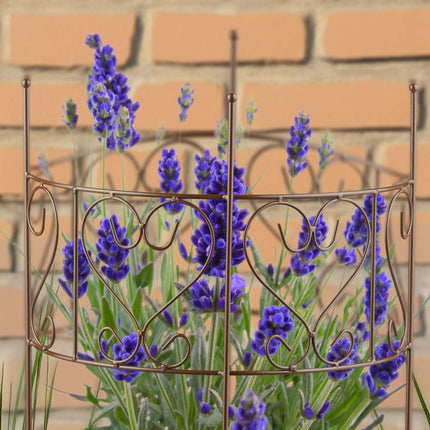Half-Round Brown Steel Plant Support for Perennials