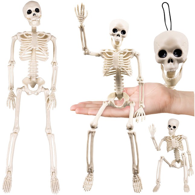 Halloween Skeleton Decoration, 40cm, Movable Limbs