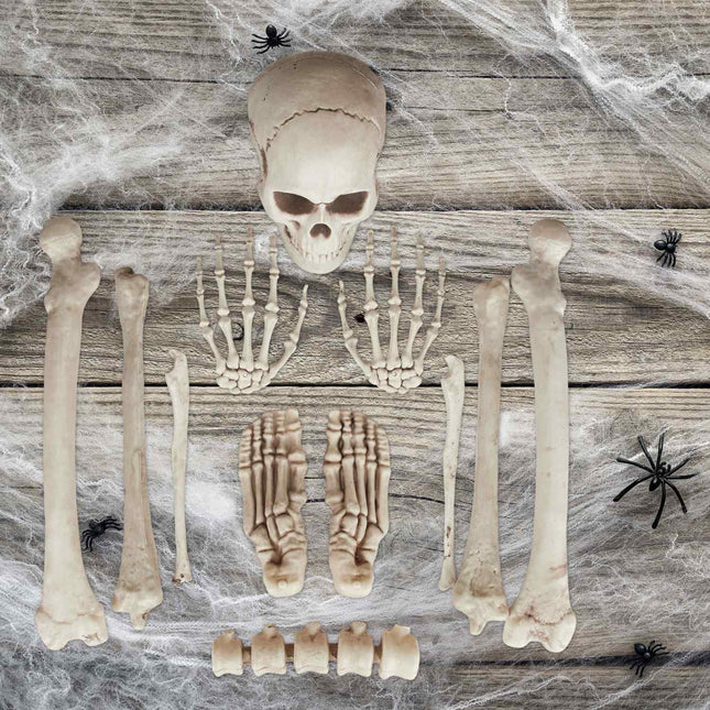 Halloween Skeleton Decoration Set – 12 Bones