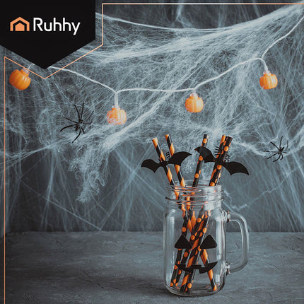 Halloween Spider Web with 2 Spiders, Stretchable, White