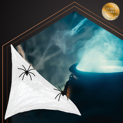 Halloween Spider Web with 2 Spiders, Stretchable, White