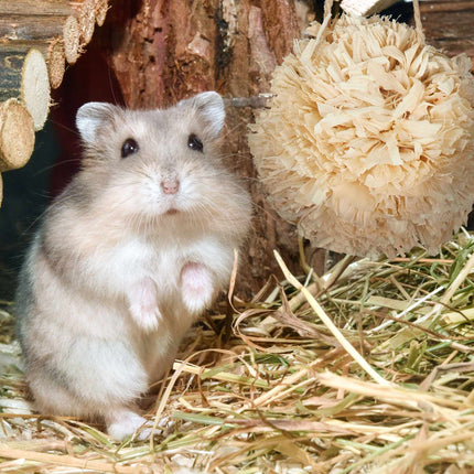 Hamster-Zubehörset 5-tlg.