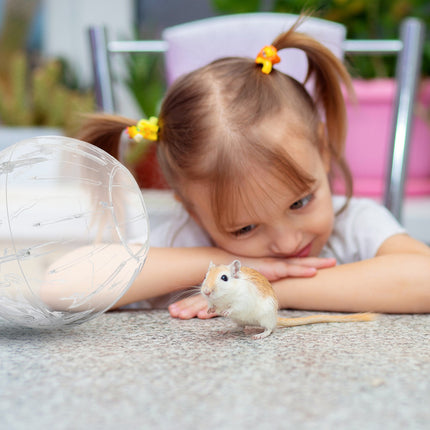 Balle pour hamster avec couvercle vert