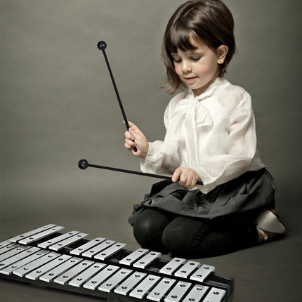 Handpercussion Glockenspiel Xylophon mit Schlägeln Tragetasche 30 Töne
